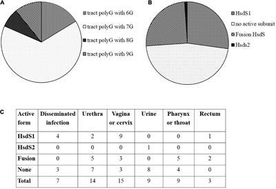 Phase-variable Type I methyltransferase M.NgoAV from Neisseria gonorrhoeae FA1090 regulates phasevarion expression and gonococcal phenotype